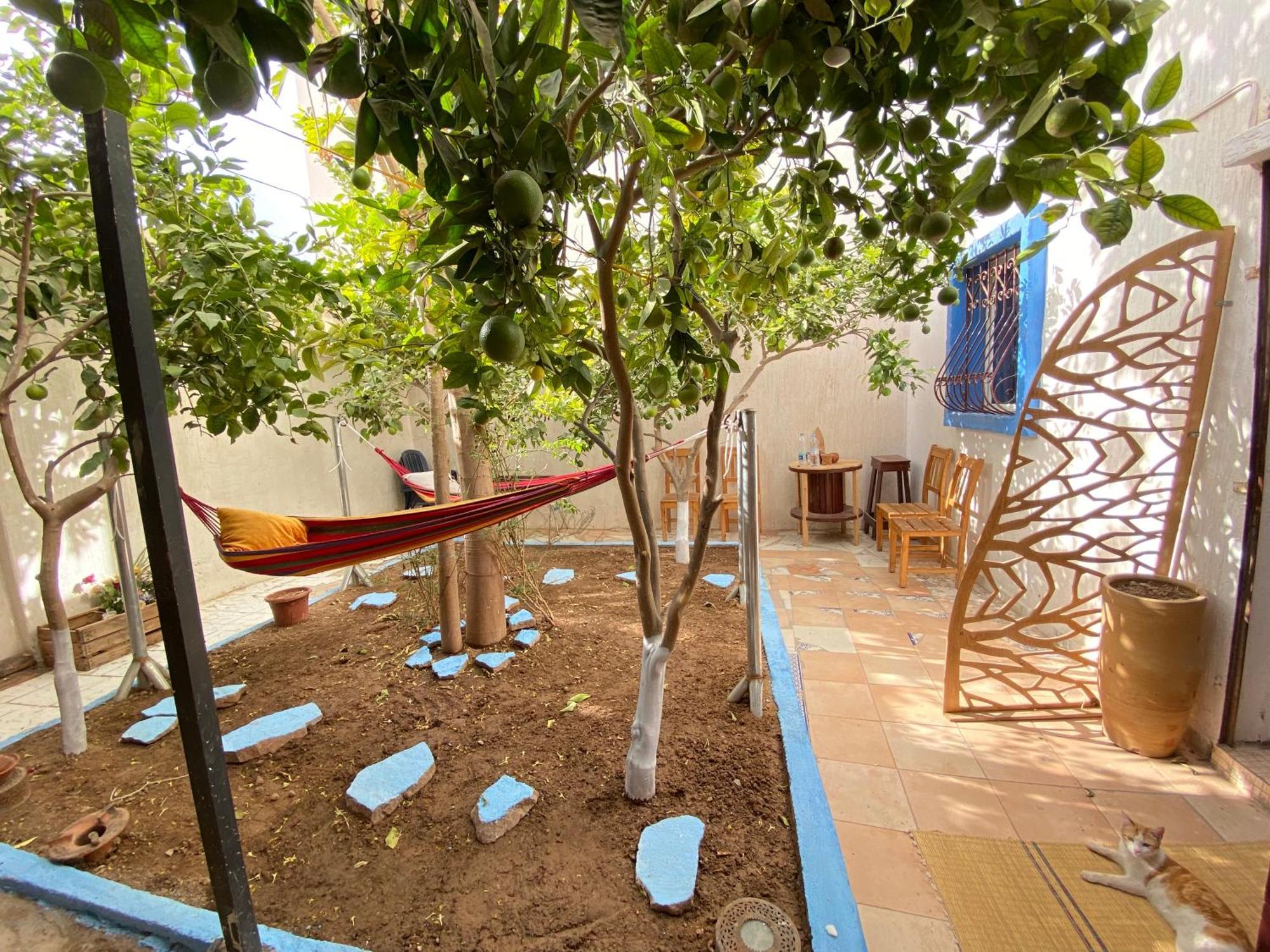 Готель Red Carpet Surf Camp Sea, Mountain & Garden Escape Tamraght Екстер'єр фото